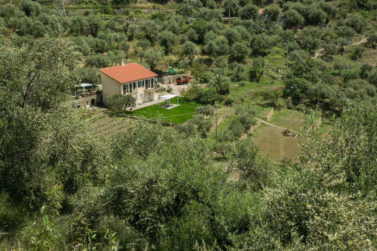Agriturismo Oltrealmare Civezza Dış mekan fotoğraf