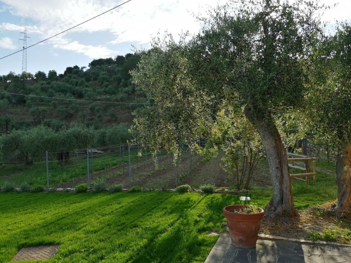 Agriturismo Oltrealmare Civezza Dış mekan fotoğraf