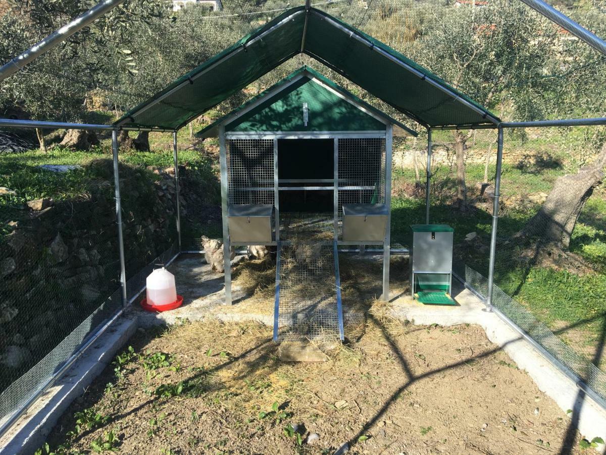 Agriturismo Oltrealmare Civezza Dış mekan fotoğraf
